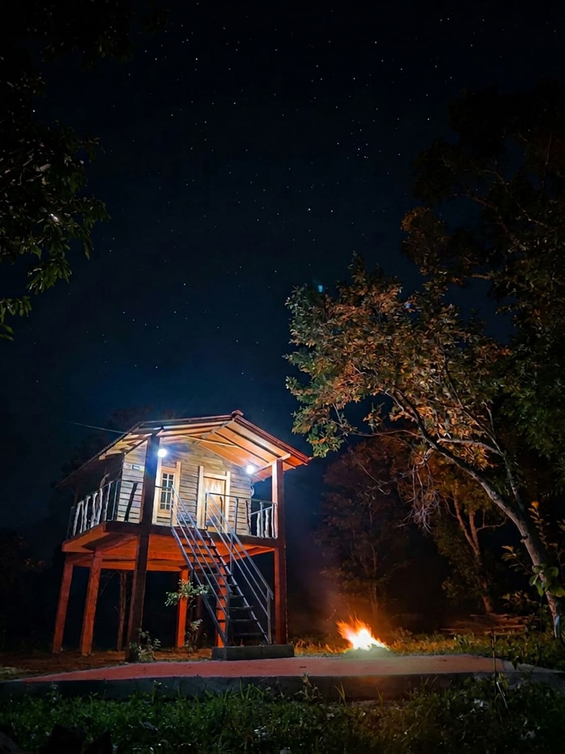 Deluxe Jungle Cabana view 1