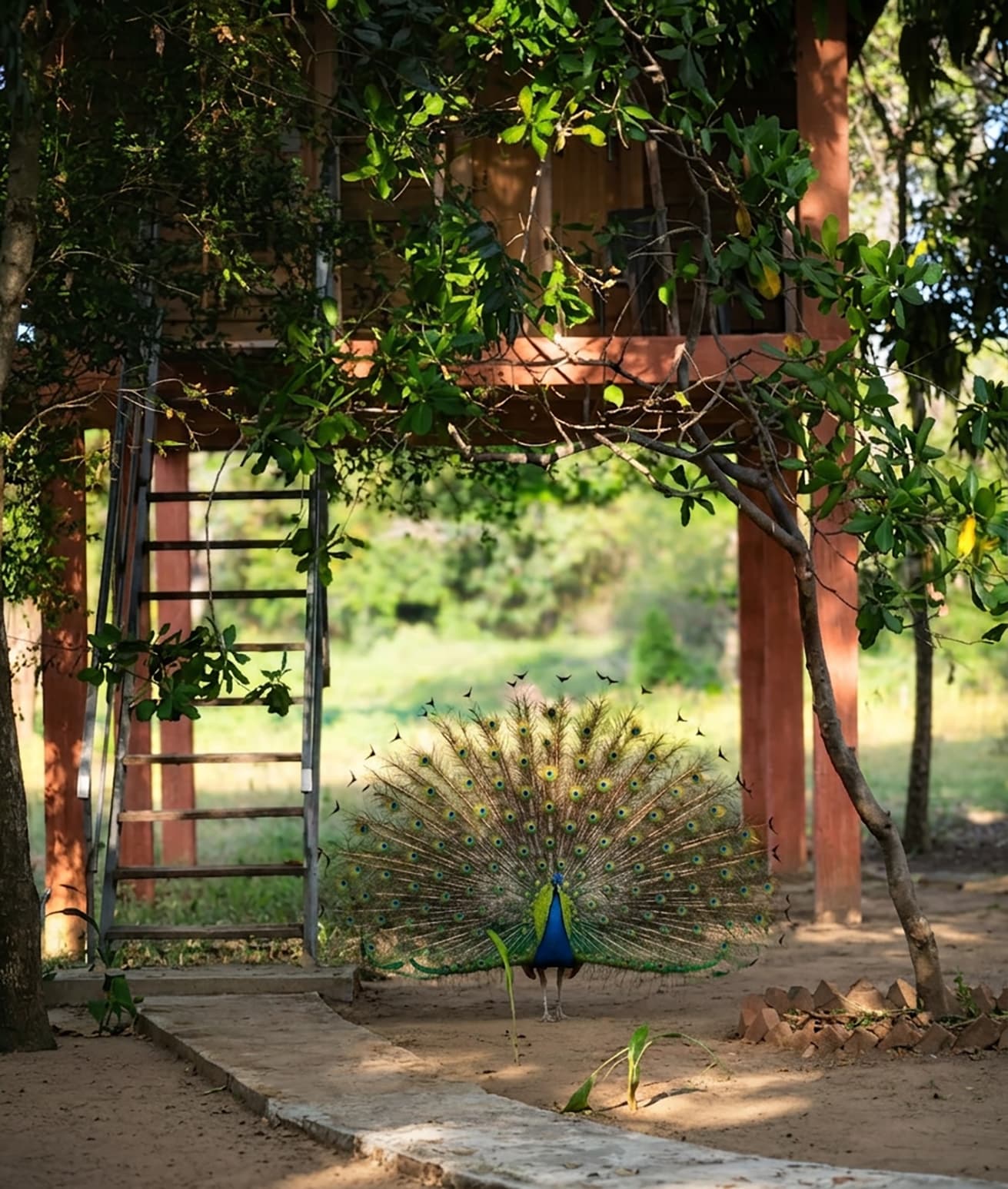 Gallery image 1
